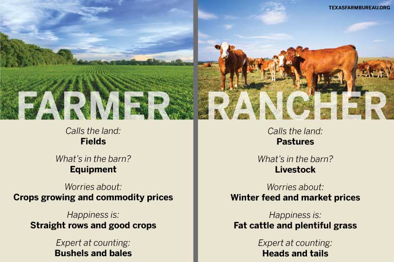 What'S the Difference between a Ranch And a Farm