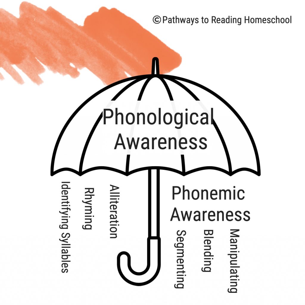 What is the Difference between Phonological Awareness And Phonemic Awareness